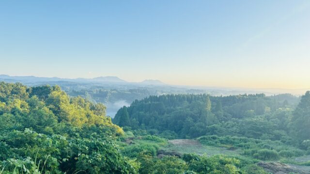 服掛松キャンプ場　朝